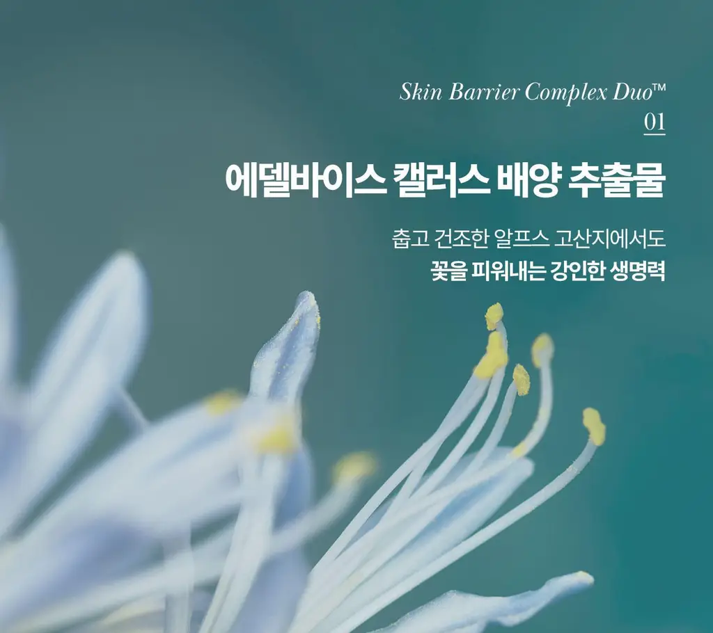 [NEW/이주빈PICK] 티엘라 퍼퓸 너리싱 바디크림 200ml 3종 택 1 상세페이지 66